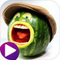 Funny Video , WhatsApp Status - 4Fun