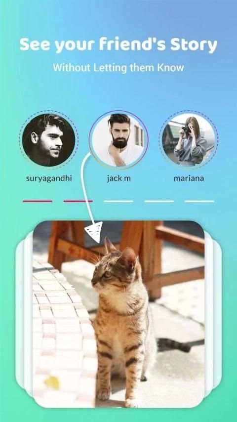 Story Saver for Instagram screenshot 2