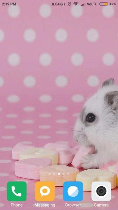 Lolipop Wallpaper स्क्रीनशॉट 3
