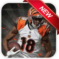 AJ Green Wallpapers HD - Zayan