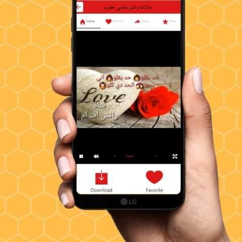 حالات نانسي عجرم فيديو screenshot 3