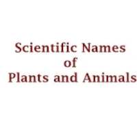 Scientific Names of Plants and Animals on 9Apps