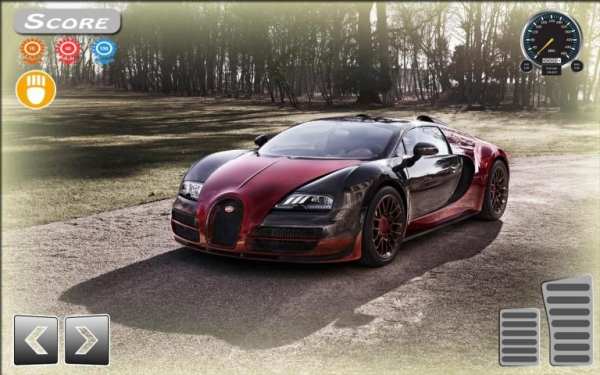 Bugatti Veyron Driving Simulator स्क्रीनशॉट 2