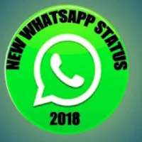 NEW WHATSAPP STATUS