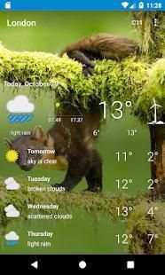 London - Weather screenshot 1