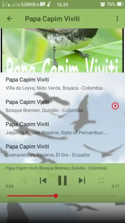 Canto De Papa Capim F mea APK Download for Android