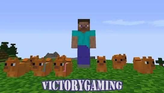 Dog Mod MCPE screenshot 3