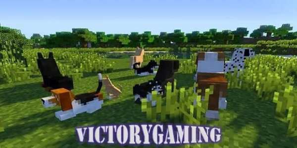 Dog Mod MCPE screenshot 1