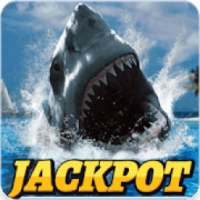 CASINO MEGA WIN : Wild Shark Slot Machine