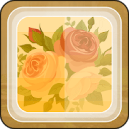 Snapseed आइकन