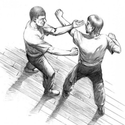 Learn Kungfu आइकन