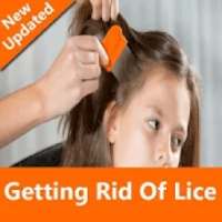 Getting Rid of Lice on 9Apps