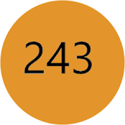 243 Game आइकन