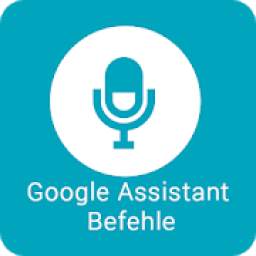 Befehle für Google Assistant
