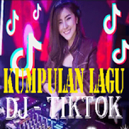 DJ TIK TOK REMIX - MP3 icon