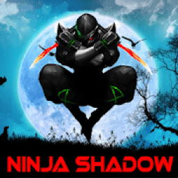 ikon Ninja Warrior Shadow Fight