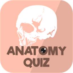 Anatomy Quiz - Free Physiology & Anatomy App