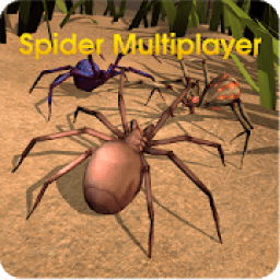 ikon Spider World Multiplayer