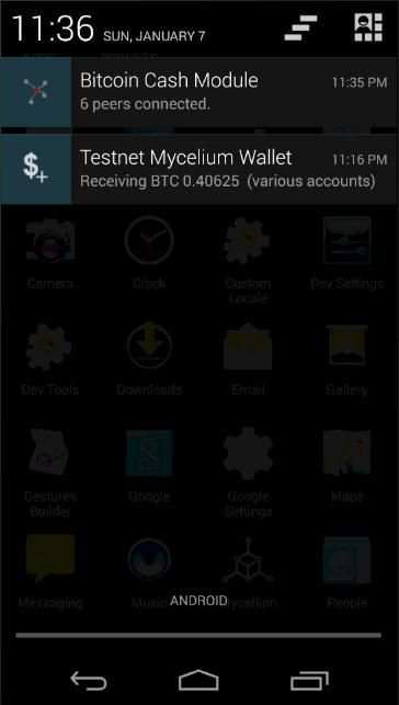 Testnet Bitcoin Cash Module for Mycelium Testnet screenshot 2