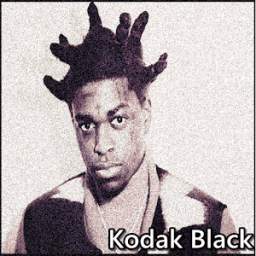 Kodak Black 1.1