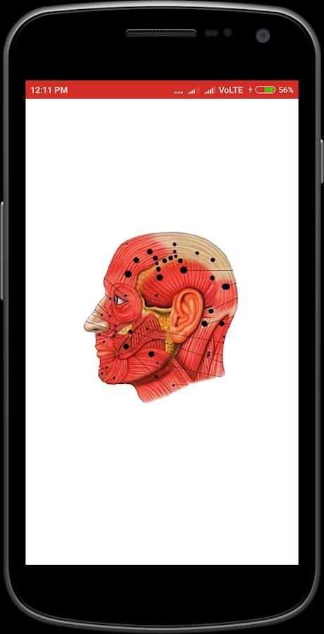 Acupressure Point screenshot 8
