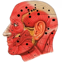 ikon Acupressure Point