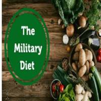 Two Day Military Diet on 9Apps