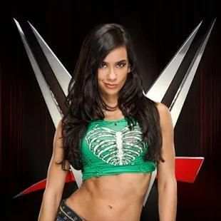 WWE SUPER STAR FREE screenshot 2