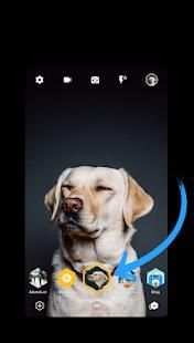 Tribees - Camera app for the connected generation screenshot 4