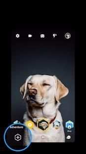 Tribees - Camera app for the connected generation screenshot 3