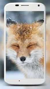 Fox Wallpaper HD स्क्रीनशॉट 11