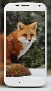 Fox Wallpaper HD स्क्रीनशॉट 14