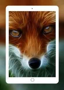 Fox Wallpaper HD स्क्रीनशॉट 3