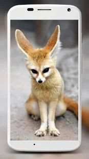 Fox Wallpaper HD स्क्रीनशॉट 18