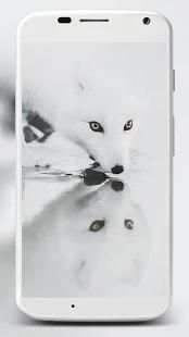 Fox Wallpaper HD स्क्रीनशॉट 7