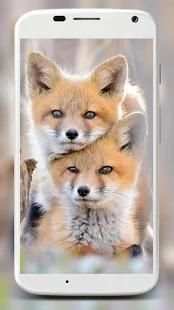 Fox Wallpaper HD स्क्रीनशॉट 9