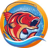 Fishing Clash Simulator Hook Catch Fish Sport