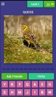 Bird Quiz screenshot 13
