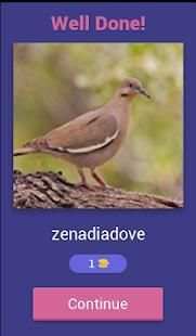 Bird Quiz screenshot 14