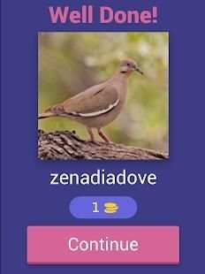 Bird Quiz screenshot 9