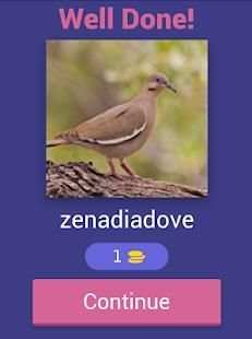 Bird Quiz screenshot 5