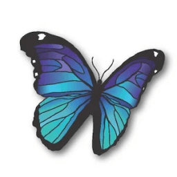 Brighter Tomorrows Consulting आइकन