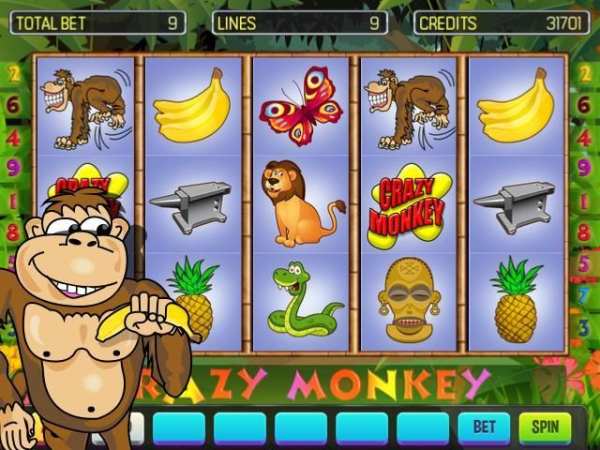 Crazy Monkey Deluxe screenshot 5