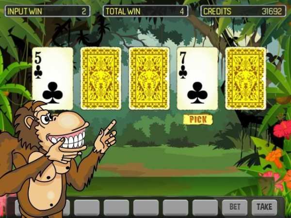Crazy Monkey Deluxe screenshot 4