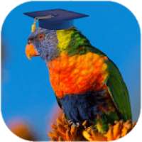Animal Learning for Kids - Flashcard, Sound, Video on 9Apps