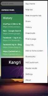Cheetah Browser screenshot 2
