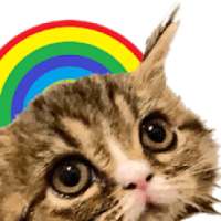 Antistress - relaxation Cat toys Anti stress app