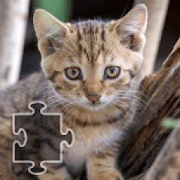 Cats Jigsaw Puzzles आइकन