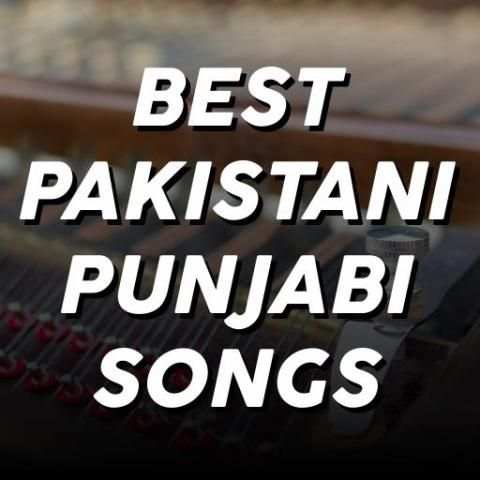 Best Pakistani Punjabi Songs screenshot 4