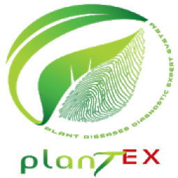 PlantEX आइकन